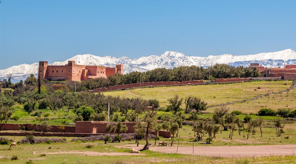Riad Sougtani Tazrou 외부 사진